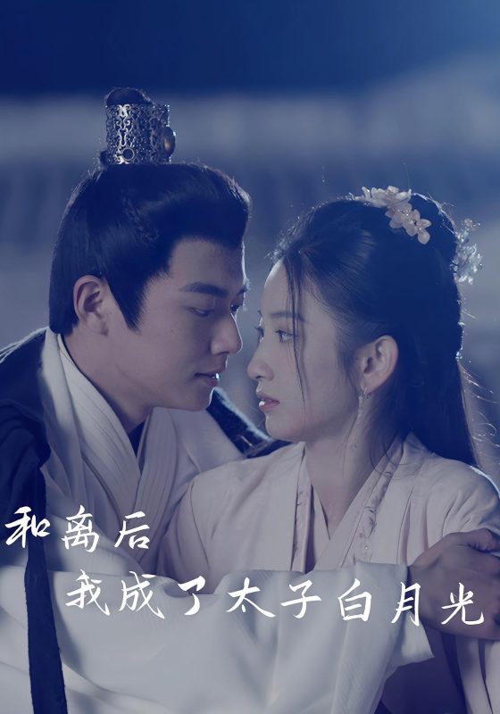和离后，我成了太子白月光-荔枝资源 - 精品资源下载站