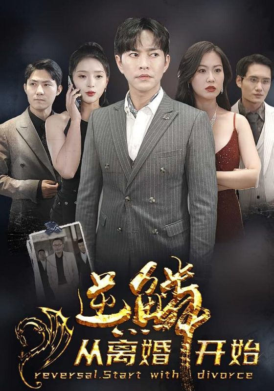 轩辕龙尊（逆袭从离婚开始）-荔枝资源 - 精品资源下载站
