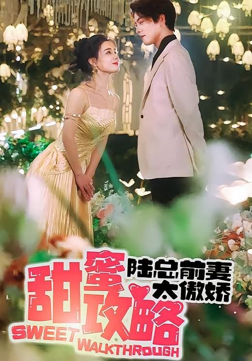 甜蜜攻略：陆总前妻太傲娇-荔枝资源 - 精品资源下载站
