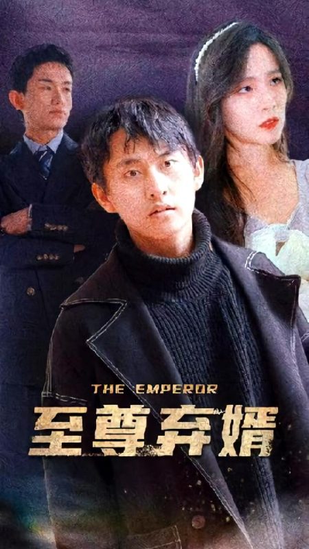 至尊弃婿100集-荔枝资源 - 精品资源下载站