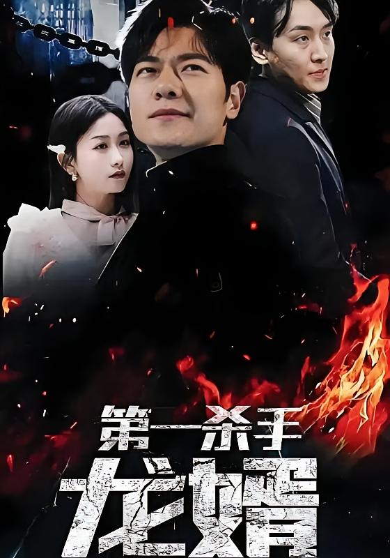 第一杀手龙婿-荔枝资源 - 精品资源下载站