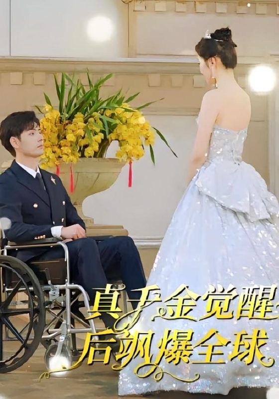 真千金觉醒后飒爆全球-荔枝资源 - 精品资源下载站
