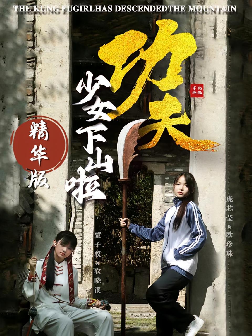 功夫 短剧封面
