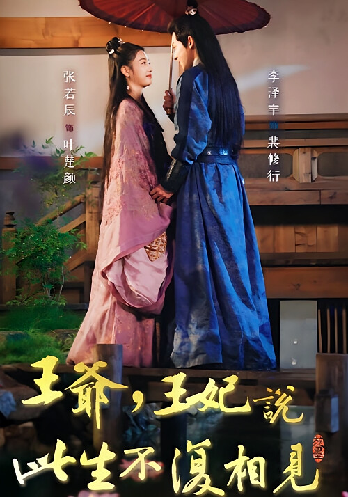 王爷，王妃说此生不复相见-荔枝资源 - 精品资源下载站
