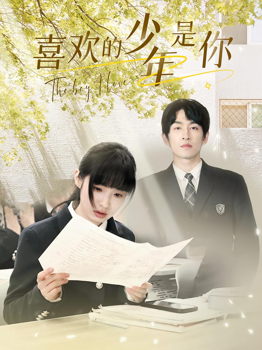 你是年少的欢喜 短剧封面