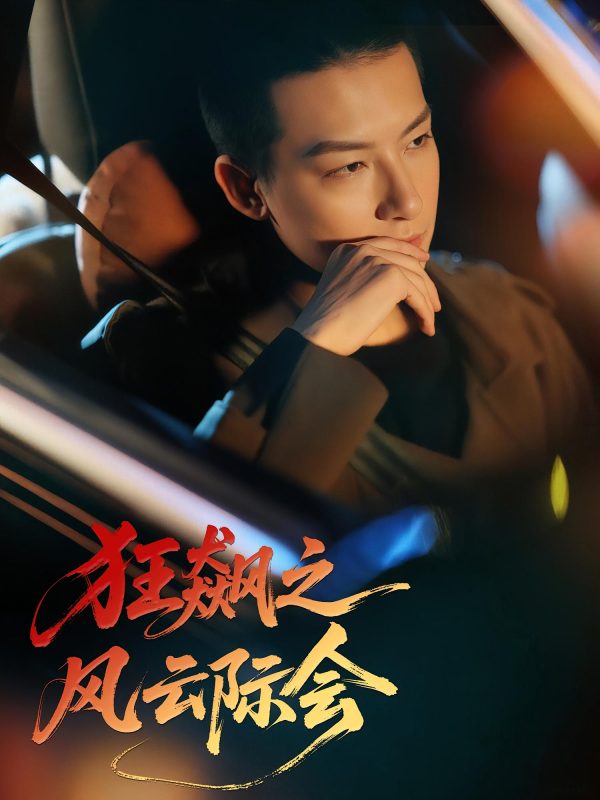 狂飙之风云龙嫂-荔枝资源 - 精品资源下载站