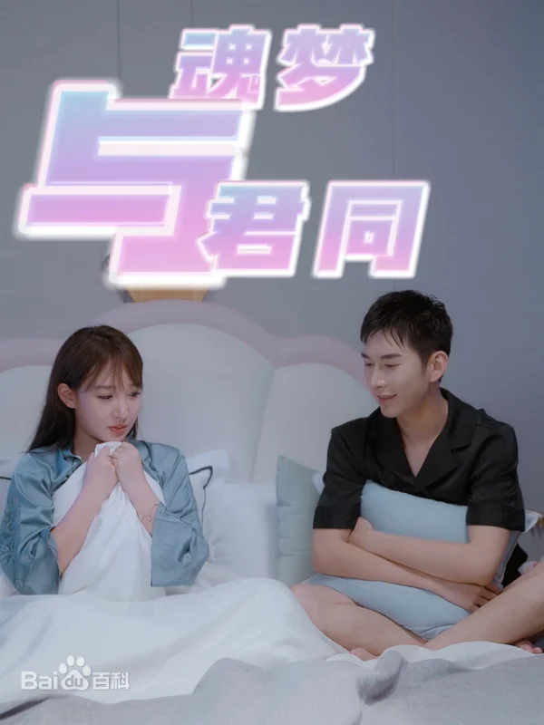 魂梦与君同-荔枝资源 - 精品软件下载站