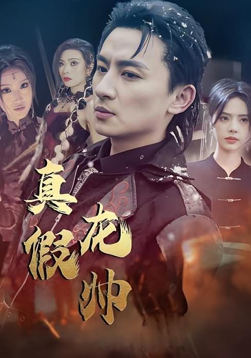 真假龙帅-荔枝资源 - 精品资源下载站