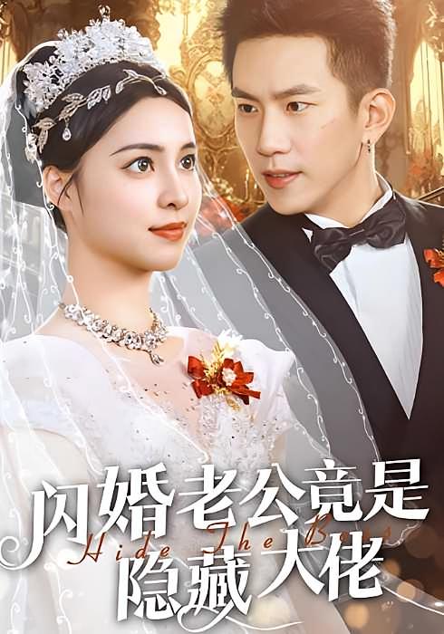 闪婚老公竟是隐藏大佬-荔枝资源 - 精品资源下载站