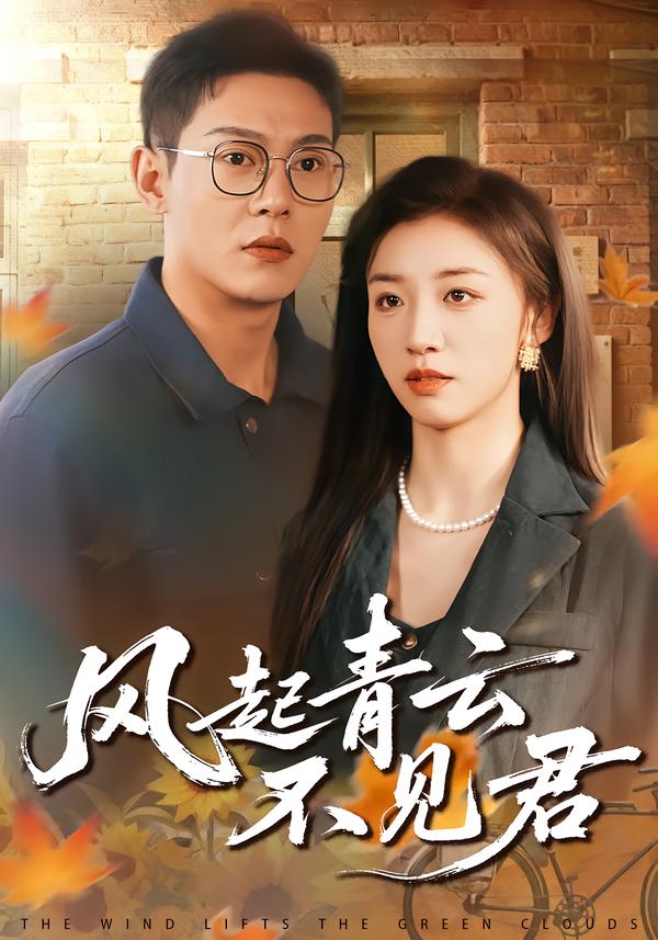 风起 短剧封面