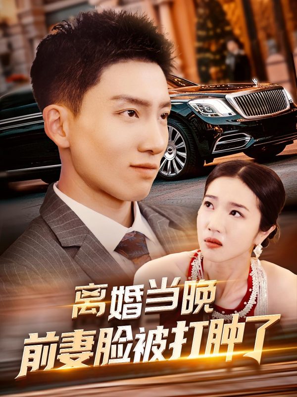 离婚当晚前妻脸被打肿了-荔枝资源 - 精品资源下载站