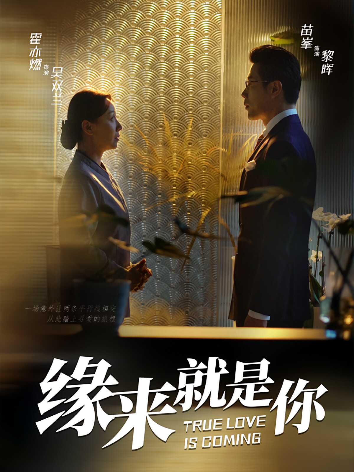 缘来就是你 短剧封面
