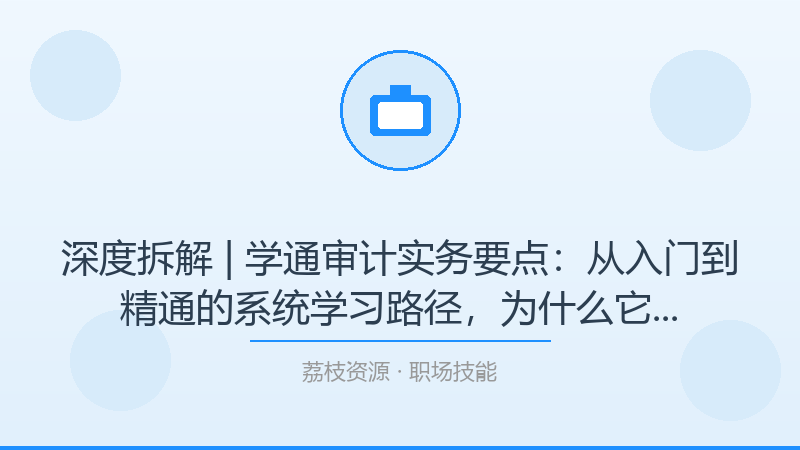 深度拆解 | 学通审计实务要点：从入门到精通的系统学习路径，为什么它是职场技能入门必看？-荔枝资源 - 精品软件下载站