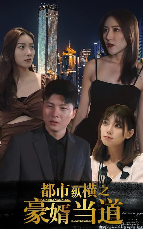 都市纵横之豪婿当道90集-荔枝资源 - 精品资源下载站
