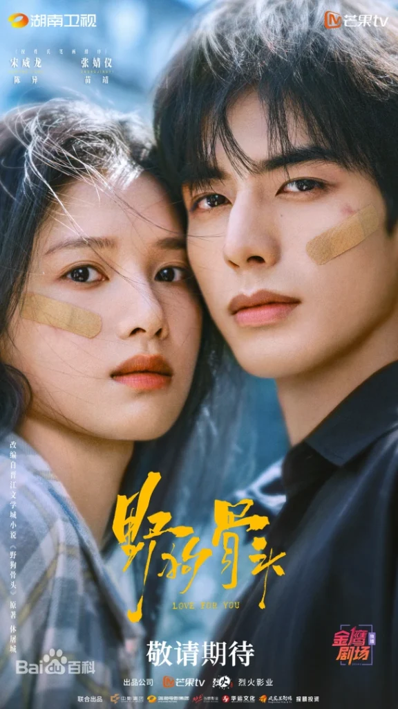 图片[1]-【野狗骨头】 更新32集完结-荔枝资源 - 精品资源下载站