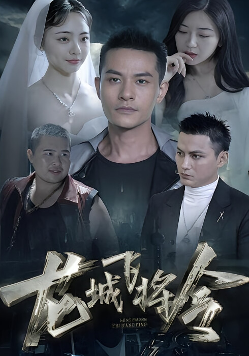龙城飞将-荔枝资源 - 精品资源下载站