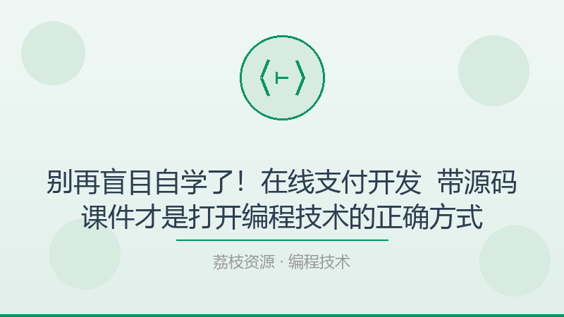 别再盲目自学了！在线支付开发 – 带源码课件才是打开编程技术的正确方式-荔枝资源 - 精品软件下载站
