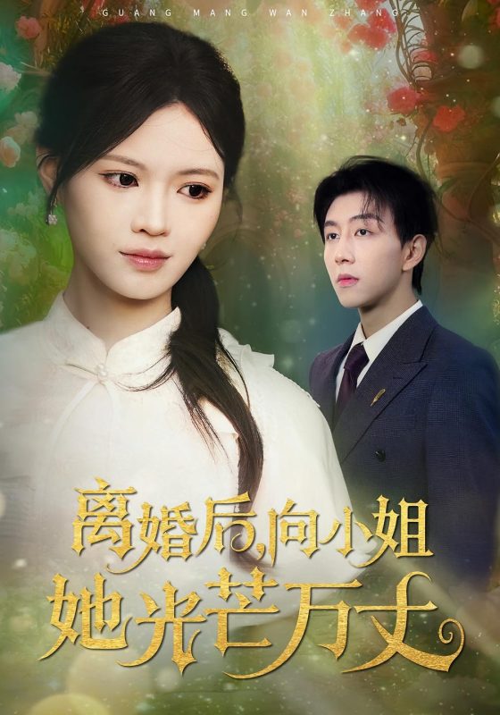 离婚后她光芒万丈 长篇-荔枝资源 - 精品资源下载站