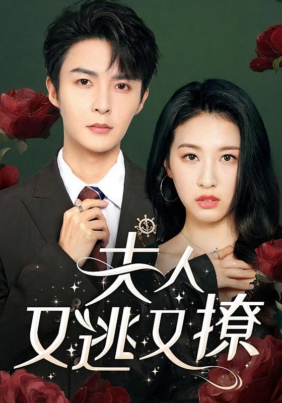 蓄谋已久历总他明撩暗哄·历总夫人她又跑了-荔枝资源 - 精品资源下载站