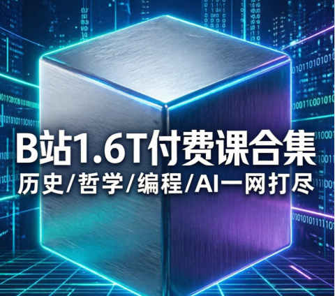 精进指南 | B站付费课程合集-荔枝资源 - 精品软件下载站