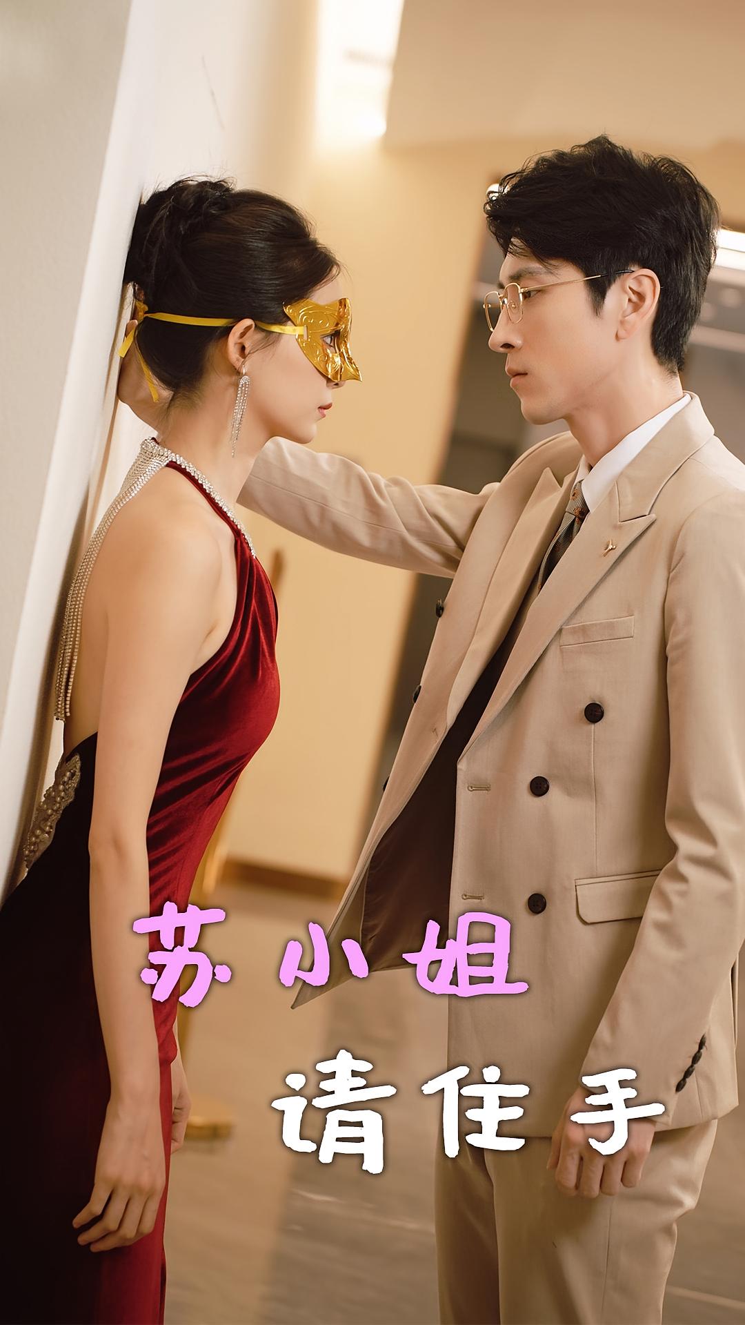 苏小姐请住手陈思琦 短剧封面