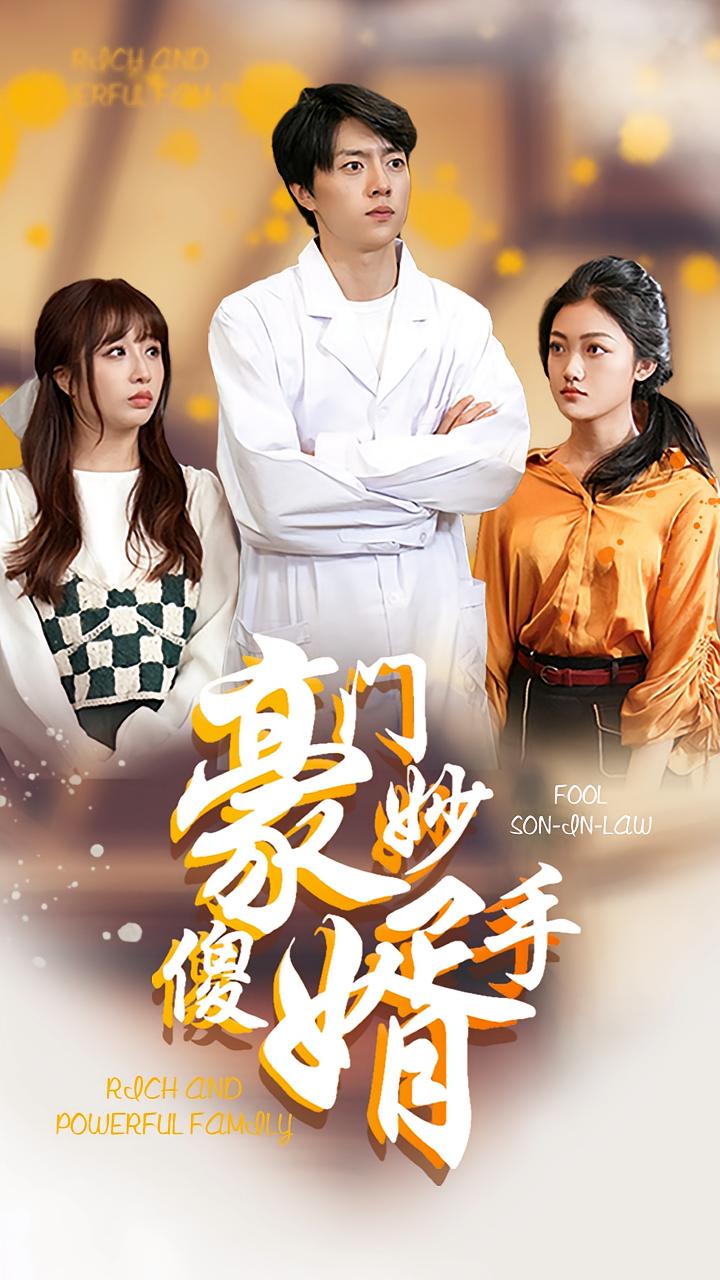 豪门妙手傻婿 短剧封面