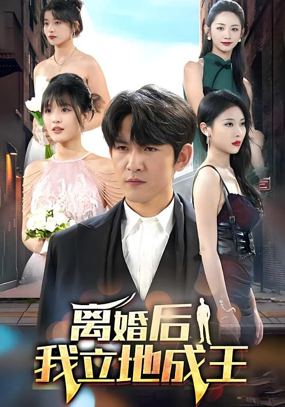 离婚后我立地成王-荔枝资源 - 精品资源下载站